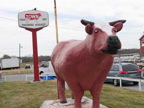 A large, pink cow statue stands in front of a sign for a farmers market, with fields and buildings in the background.