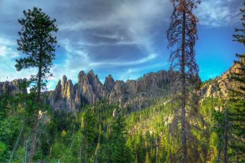 A scenic view of rugged mountains surrounded by lush green trees under a blue sky with scattered clouds.