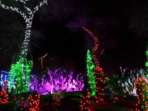 Colorful holiday lights illuminate trees and cacti in a nighttime landscape, creating a festive atmosphere.