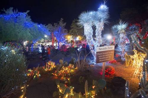 A festive garden illuminated with colorful lights, featuring cacti and a sign for the "Nevada Zone."