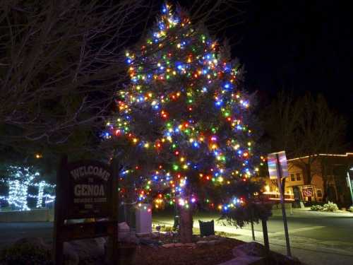 A brightly lit Christmas tree adorned with colorful lights at night, with a welcome sign nearby.