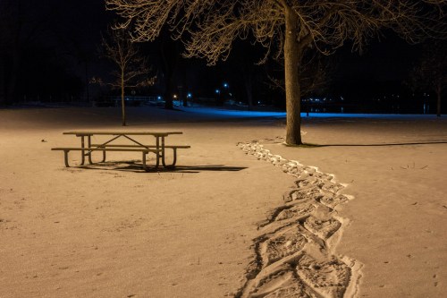 A snowy park at night with a picnic table and footprints leading through the snow under a tree.