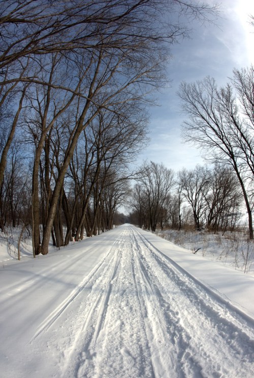 A snowy path lined with bare trees under a clear blue sky, creating a serene winter landscape.