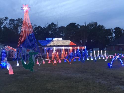 Colorful Christmas lights decorate a yard with a large tree, festive shapes, and a green alligator figure.