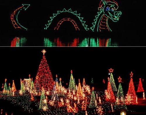 Colorful holiday lights display featuring a dragon and a forest of decorated Christmas trees.