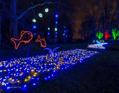 Colorful holiday lights illuminate a garden path, featuring fish and floral designs against a dark night sky.