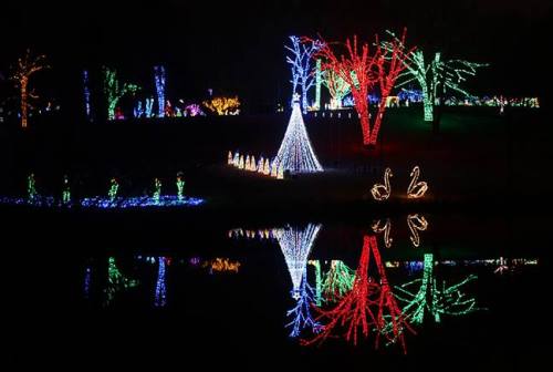 Colorful holiday lights illuminate trees and a Christmas tree, reflecting in a calm water surface at night.
