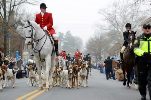 A parade featuring riders on horseback, hounds, and spectators lining the street on a foggy day.