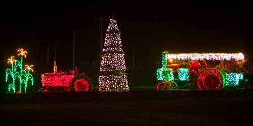A brightly lit tractor and a Christmas tree made of lights, surrounded by glowing corn stalks at night.