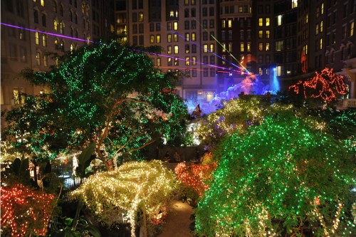 A vibrant display of colorful lights and lasers illuminating lush greenery in a festive courtyard at night.