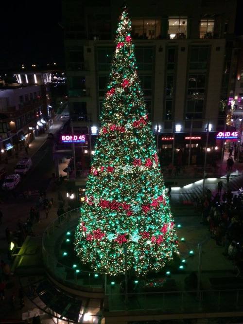 A large, brightly lit Christmas tree adorned with red and green decorations, surrounded by a festive atmosphere at night.
