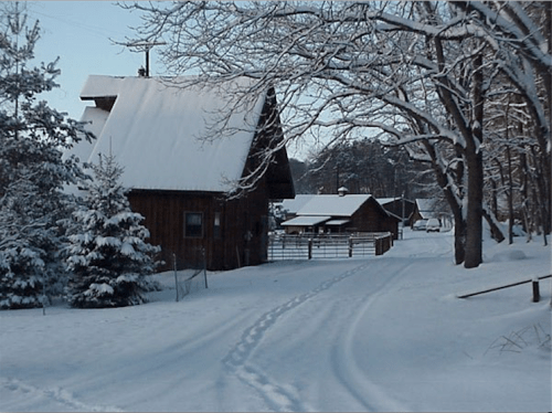 A snowy landscape featuring a wooden cabin and trees, with tire tracks leading down a path.