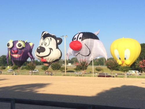 Colorful hot air balloons shaped like cartoon characters, including a purple monster, a dog, and a yellow bird, at an outdoor event.