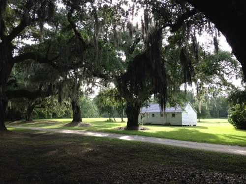 A serene landscape featuring a small white house surrounded by large trees draped in Spanish moss.