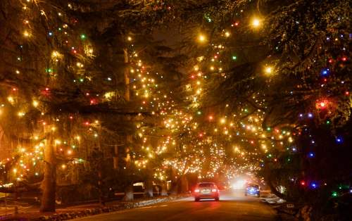 A car drives down a street lined with trees adorned in colorful holiday lights at night.