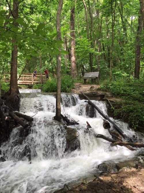 A serene waterfall cascades over rocks in a lush green forest, with a wooden bench and path nearby.