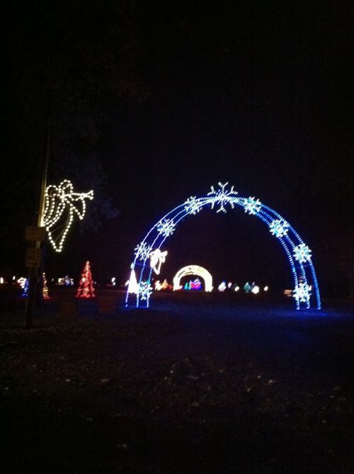 A festive display of colorful lights at night, featuring an arch and decorated trees.