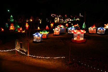 Colorful illuminated carnival rides and decorations in a nighttime setting.