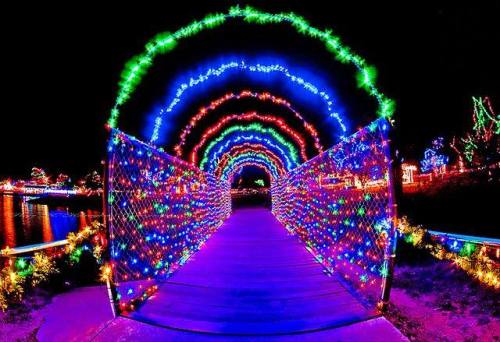 A brightly lit pathway adorned with colorful lights, leading to a festive scene at night.