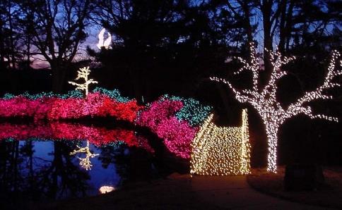 A serene scene of colorful holiday lights reflecting on a pond, with illuminated trees and a bridge in the foreground.