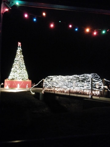 A brightly lit Christmas tree and a decorated structure, both illuminated with colorful lights at night.