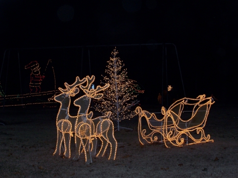 Illuminated reindeer and a sleigh with a decorated tree in a dark outdoor setting, creating a festive holiday scene.