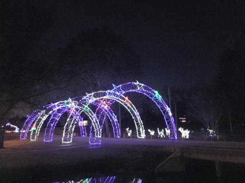 Colorful illuminated arches with stars and reindeer decorations at night, reflecting in a nearby water body.