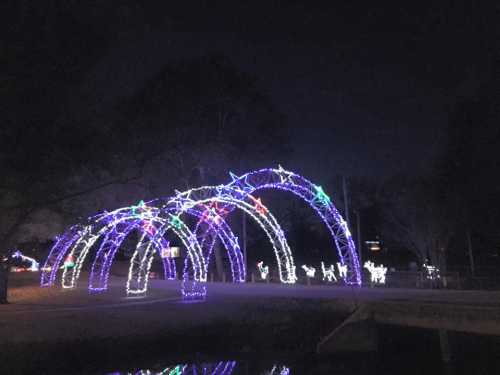 Colorful illuminated arches with stars and reindeer decorations at night, reflecting in a nearby water body.