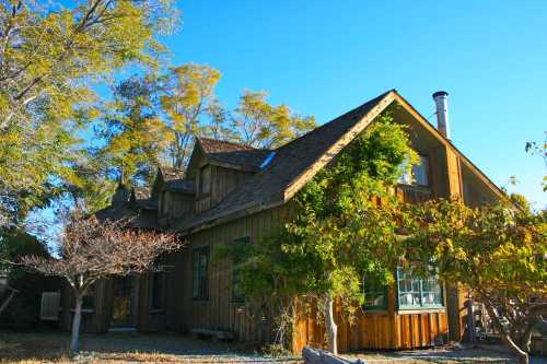 A rustic wooden house surrounded by trees and clear blue skies, showcasing a charming, natural setting.