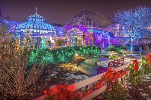 A beautifully lit greenhouse at night, adorned with colorful lights and festive decorations, surrounded by winter scenery.