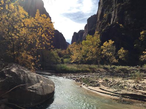 A serene river flows through a canyon, surrounded by autumn foliage and towering rock formations under a bright sky.