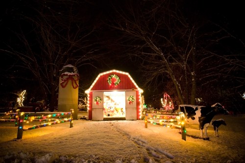 A festive barn decorated with lights and wreaths, surrounded by snow and a cow, creating a cozy winter scene.