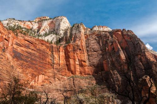 Majestic red rock cliffs under a blue sky, showcasing the stunning landscape of Zion National Park.