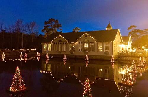 A cozy building adorned with holiday lights, surrounded by illuminated Christmas trees reflected in a calm pond.