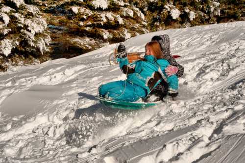 Two children sledding down a snowy hill, surrounded by evergreen trees, enjoying a winter day.