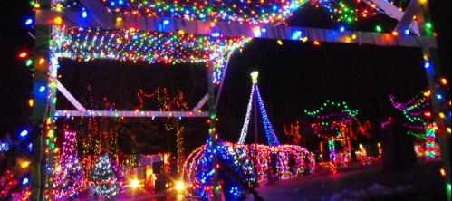 Colorful holiday lights illuminate a festive outdoor scene, featuring trees and decorations in a vibrant display.