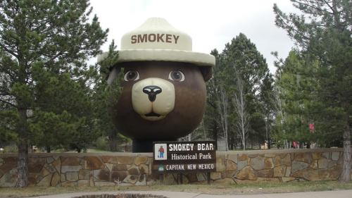 A large bear statue wearing a ranger hat at Smokey Bear Historical Park in Capitan, New Mexico, surrounded by trees.