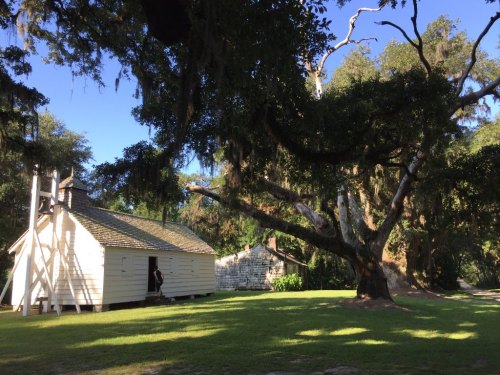 A historic white cabin stands under a large tree with Spanish moss, surrounded by green grass and a clear blue sky.