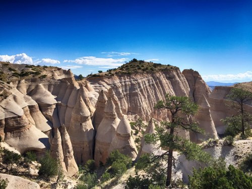 A scenic view of unique rock formations and pine trees under a clear blue sky.