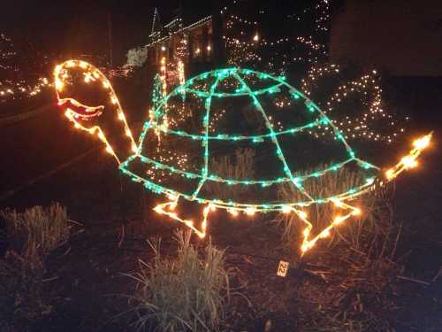 A turtle-shaped decoration made of colorful lights, set against a dark background with festive lights in the distance.