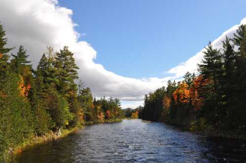 A serene river flows through a forest with colorful autumn foliage under a blue sky and fluffy clouds.