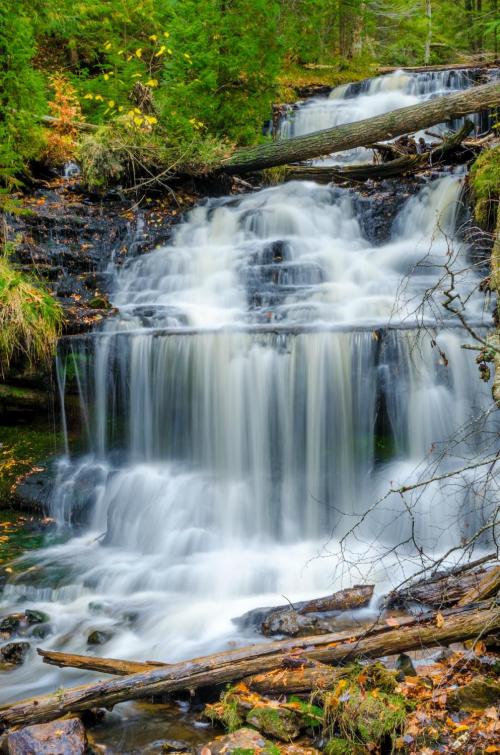 A serene waterfall cascades over rocks, surrounded by lush greenery and fallen branches in a tranquil forest setting.