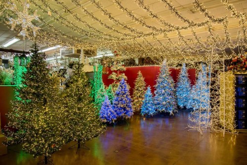 A festive display of decorated Christmas trees and colorful lights in a store, creating a cheerful holiday atmosphere.