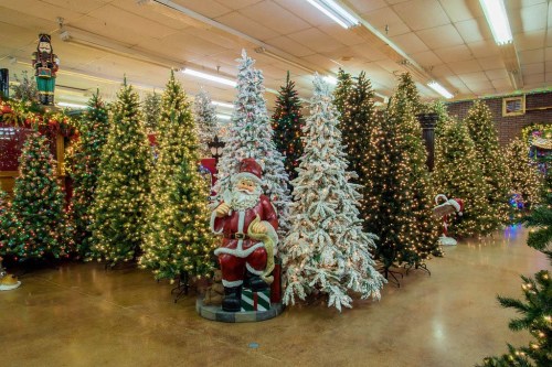 A festive display of Christmas trees and decorations, featuring a Santa figure among the trees adorned with lights.