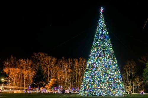 A brightly lit Christmas tree adorned with colorful lights, set against a dark night sky and trees in the background.