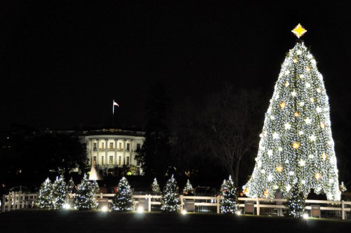 The White House illuminated at night, featuring a large decorated Christmas tree and smaller trees in the foreground.