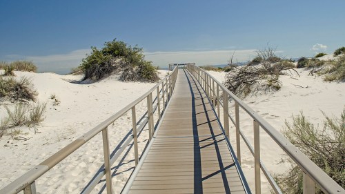A wooden walkway leads through sandy dunes to the beach under a clear blue sky.