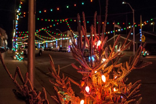 A festive street scene at night, adorned with colorful string lights and a decorated tree in the foreground.