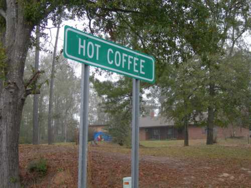 A green road sign reading "HOT COFFEE" stands near a residential area surrounded by trees.