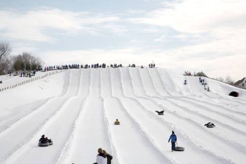 A snowy hill with people sledding down in tubes, surrounded by trees and a cloudy sky.